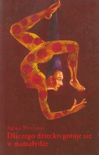 Dlaczego dziecko gotuje się w mamałydze - Veteranyi Aglaji - książka