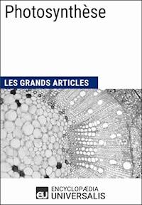 Photosynthèse - Encyclopaedia Universalis - ebook