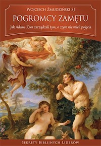 Pogromcy zamętu - Żmudziński Wojciech - książka