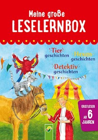 Meine große Leselernbox: Tiergeschichten, Hexengeschichten, Detektivgeschichten - Carola von Kessel - ebook