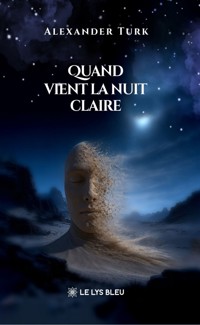 Quand vient la nuit claire - Alexander Turk - ebook
