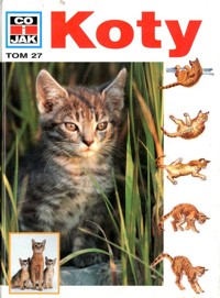 Co i Jak (27). Koty - Kothe Rainer - ebook