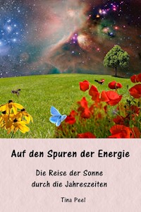 Auf den Spuren der Energie - Tina Peel - ebook