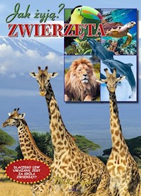 Zwierzęta - Kępa Marta - książka