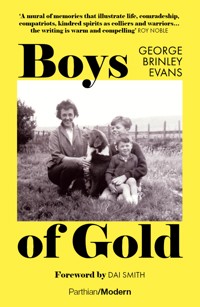 Boys of Gold - George Brinley Evans - ebook