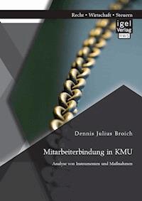 Mitarbeiterbindung in KMU: Analyse von Instrumenten und Maßnahmen - Dennis Julius Broich - ebook