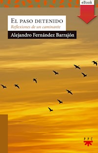 El paso detenido - Alejandro Fernández Barrajón - ebook