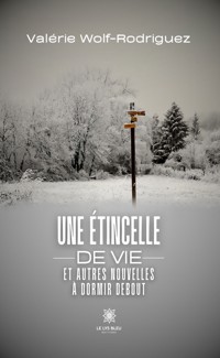 Une étincelle de vie et autres nouvelles à dormir debout - Valérie Wolf-Rodriguez - ebook