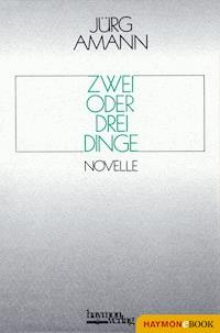 Zwei oder drei Dinge - Jürg Amann - ebook