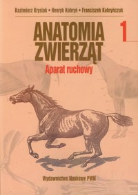 Anatomia zwierząt Tom 1 Aparat ruchowy - Krysiak Kazimierz, Kobryń Henryk, Kobryńczuk Franciszek - książka