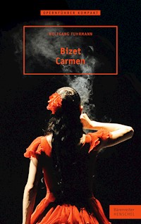 Bizet. Carmen - Wolfgang Fuhrmann - ebook