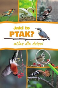 Jaki to ptak? Atlas dla dzieci - Dominik Marchowski - książka