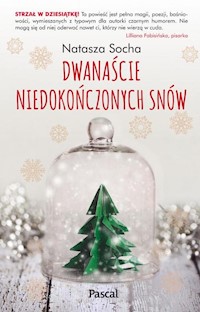 Dwanaście niedokończonych snów - Natasza Socha - książka