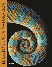 El color en la naturaleza - VVAA - ebook