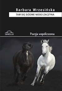 Tam się siódme niebo zaczyna - Barbara Wrzesińska - książka