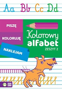 Kolorowy alfabet Zeszyt 2 - Katarzyna Malinowska - książka