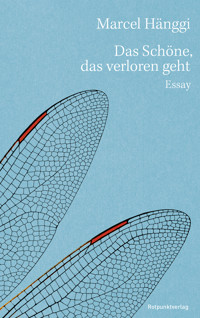 Das Schöne, das verloren geht - Marcel Hänggi - ebook