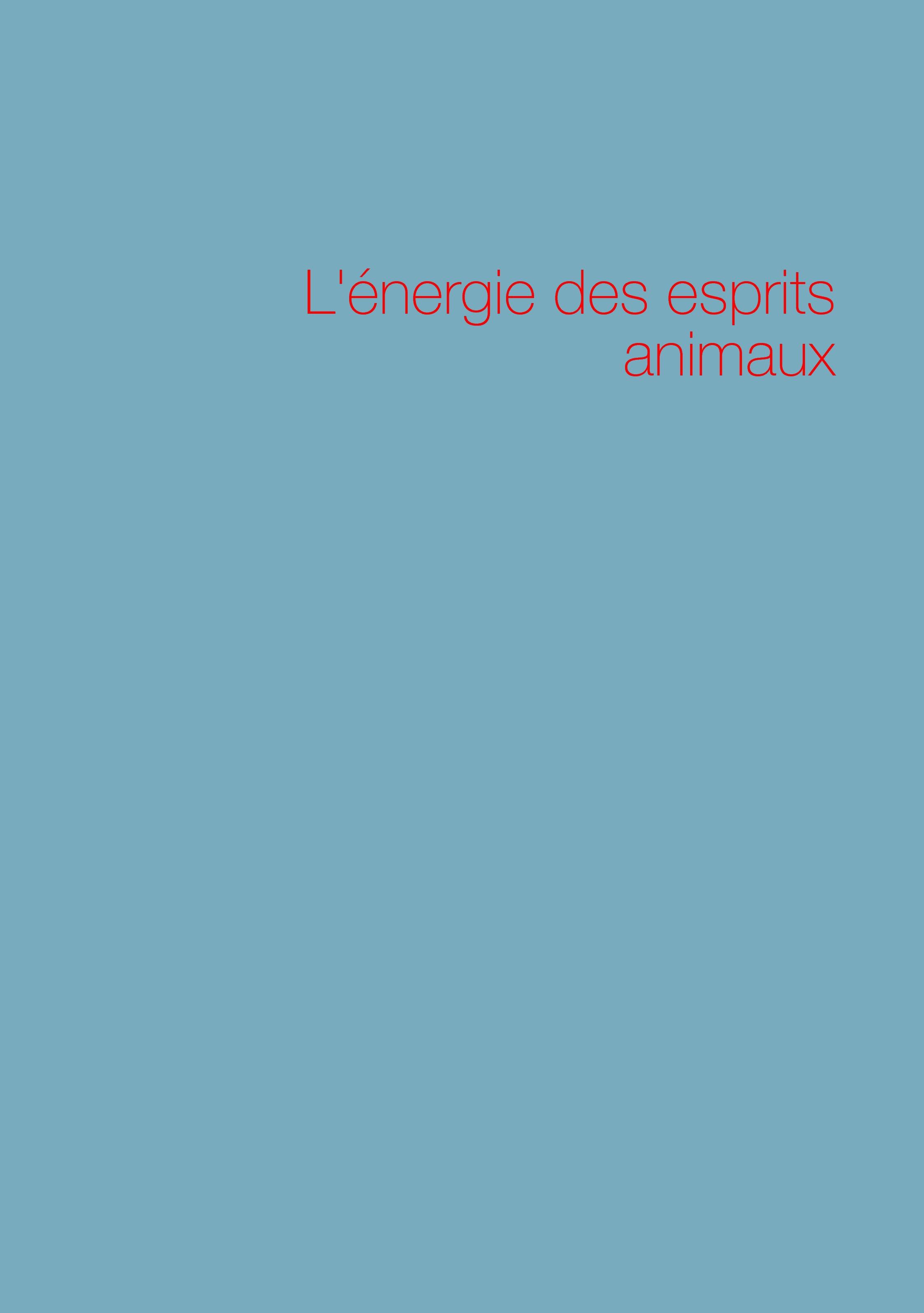 L'énergie des esprits animaux