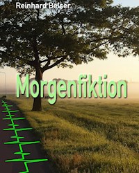 Morgenfiktion - Reinhard Belser - ebook