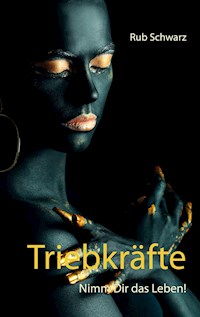 Triebkräfte - Rub Schwarz - ebook