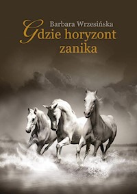 Gdzie horyzont zanika - Barbara Wrzesińska - książka