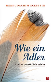 Wie ein Adler - Hans-Joachim Eckstein - ebook