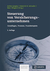 Steuerung von Versicherungsunternehmen - - ebook