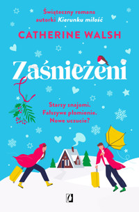 Zaśnieżeni - Catherine Walsh - ebook + audiobook + książka