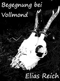 Begegnung bei Vollmond - Elias Reich - ebook