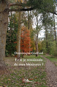 Et si je renaissais de mes blessures - Dominique Marie Godfard - ebook