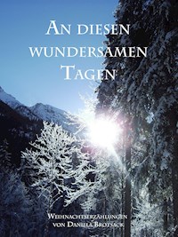 An diesen wundersamen Tagen - Daniela Brotsack - ebook