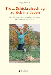 Trotz Schicksalsschlag zurück ins Leben - Birgit Kapeller - ebook