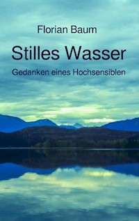 Stilles Wasser - Florian Baum - ebook