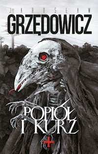 Popiół i kurz - Jarosław Grzędowicz - ebook + audiobook + książka