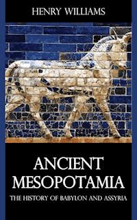 Ancient Mesopotamia - Henry Williams - ebook