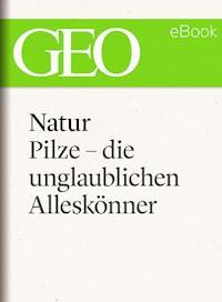 Natur: Pilze - die unglaublichen Alleskönner -  - ebook