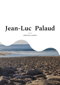 Jean-Luc Palaud - Sébastien Coudrin - ebook