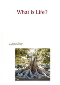 What is Life? - Lucien Sina - ebook