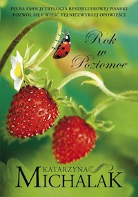 Rok w Poziomce - Katarzyna Michalak - książka