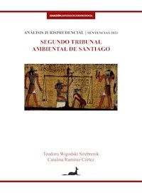 Segundo tribunal ambiental de Santiago - Teodoro Wigodski - ebook