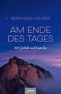 Am Ende des Tages - Bernhard Meuser - ebook