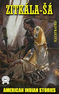 American Indian Stories. Illustrated - Zitkala Sa - ebook