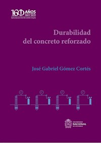 Durabilidad del concreto reforzado - José Gabriel Goméz Cortés - ebook