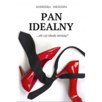 Pan Idealny - Agnieszka Niezgoda - ebook + audiobook + książka