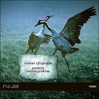 Pasterz słoneczników - Chojnacki Roman - książka