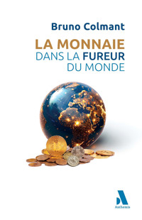La monnaie dans la fureur du Monde - Colmant Bruno - ebook