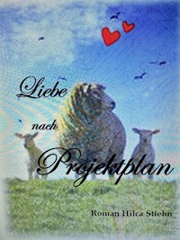 Liebe nach Projektplan - Hilca Stiehn - ebook