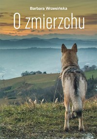 O zmierzchu - Barbara Wrzesińska - książka