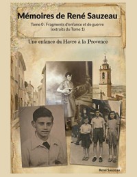 Mémoires de René Sauzeau - René Sauzeau - ebook