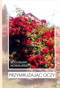 Przymrużając oczy - Nowaliński Bogusław - książka